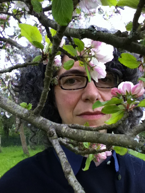 Anne-Sylvie Homassel